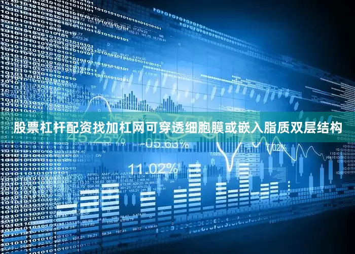 股票杠杆配资找加杠网可穿透细胞膜或嵌入脂质双层结构